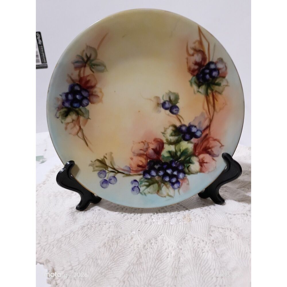 Limoges Porcelain Decorative Plate Handpainted La Seynie P &P France~Vintage~